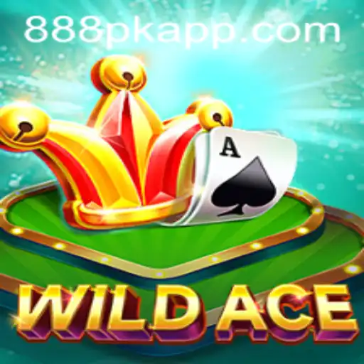Explore the Thrilling World of WildAce: A Revolutionary Gaming Experience